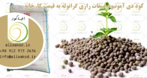 کود دی آمونیوم فسفات رازی